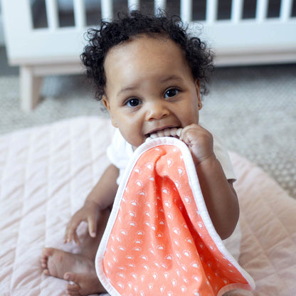 Dr. Brown's™ Lovey Blanket Pacifier and Teether Holder