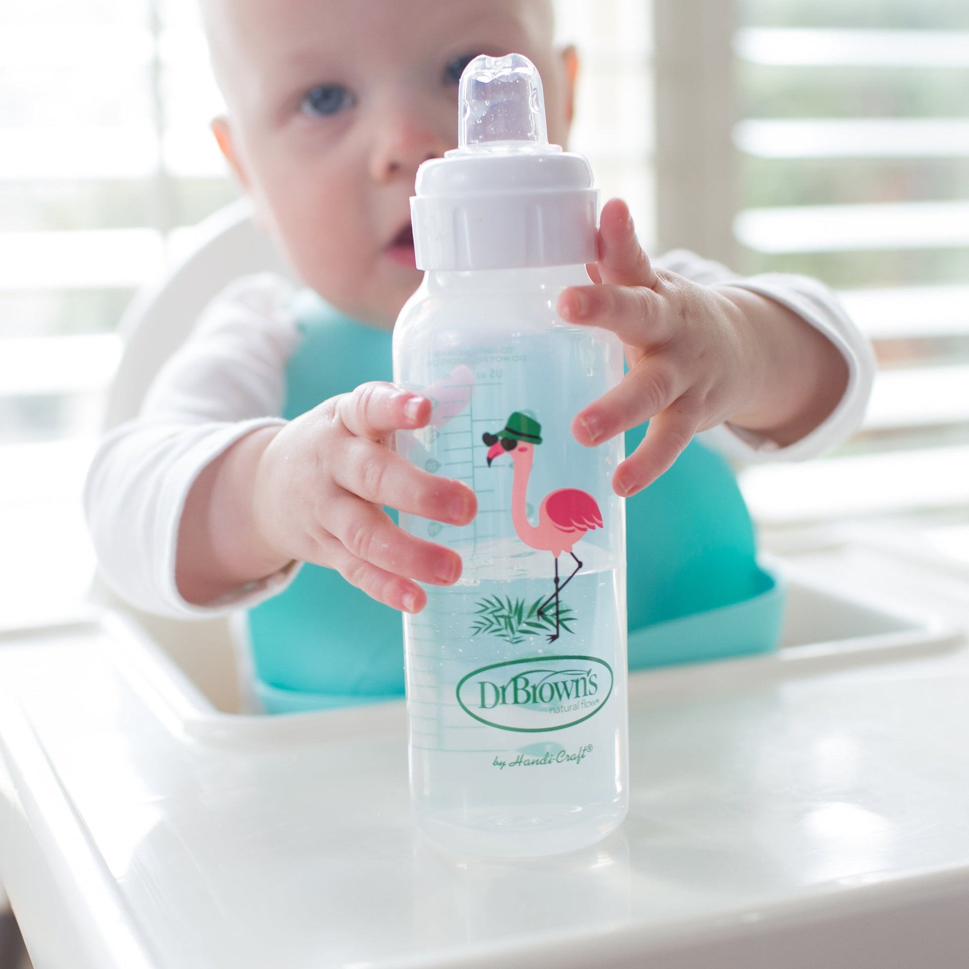 Dr. Brown's® Milestones™ Narrow Sippy Bottle, 8oz/250mL, 6m+